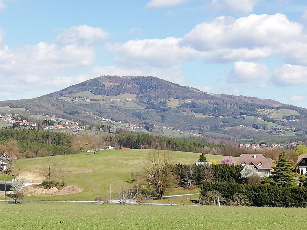 Ferienwohnung Wachmann Rohrbach am Kulm Værelse billede